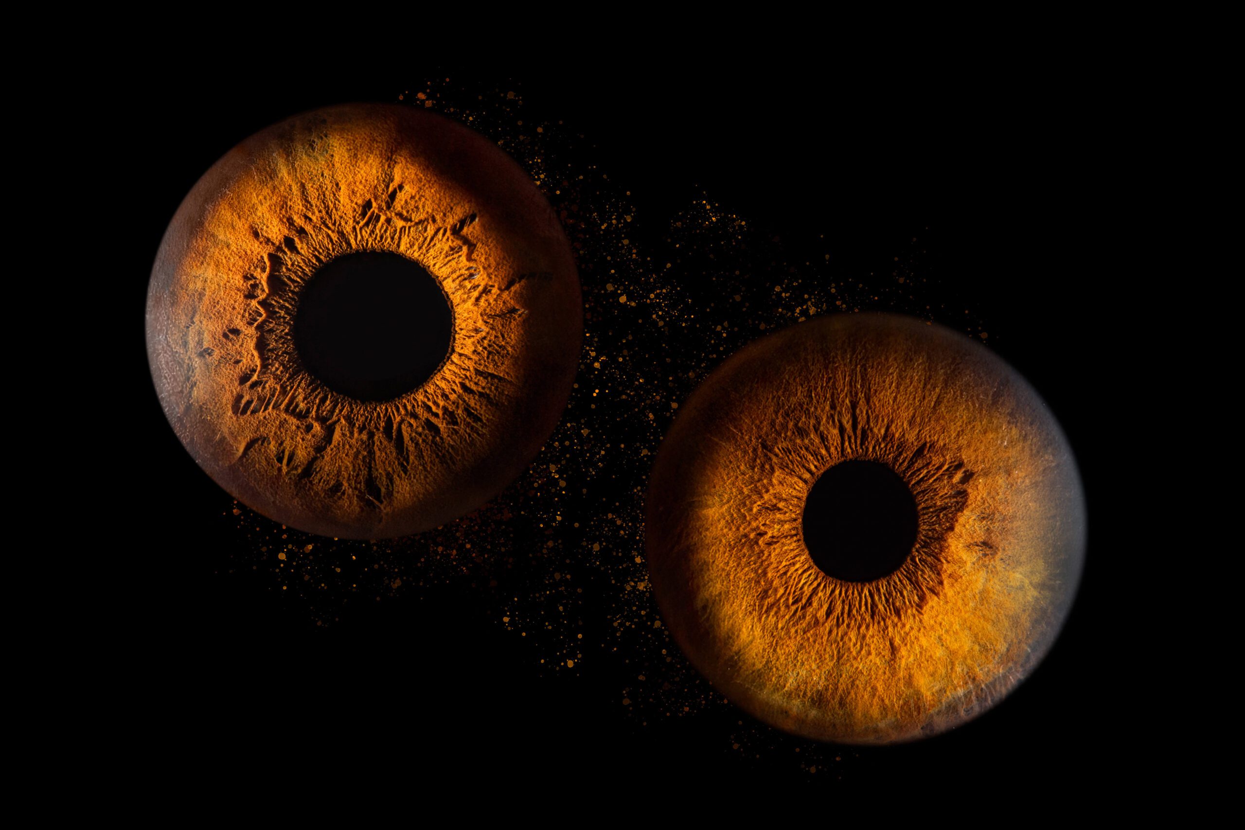 Photographe Iris 2 Seance photo iris duo