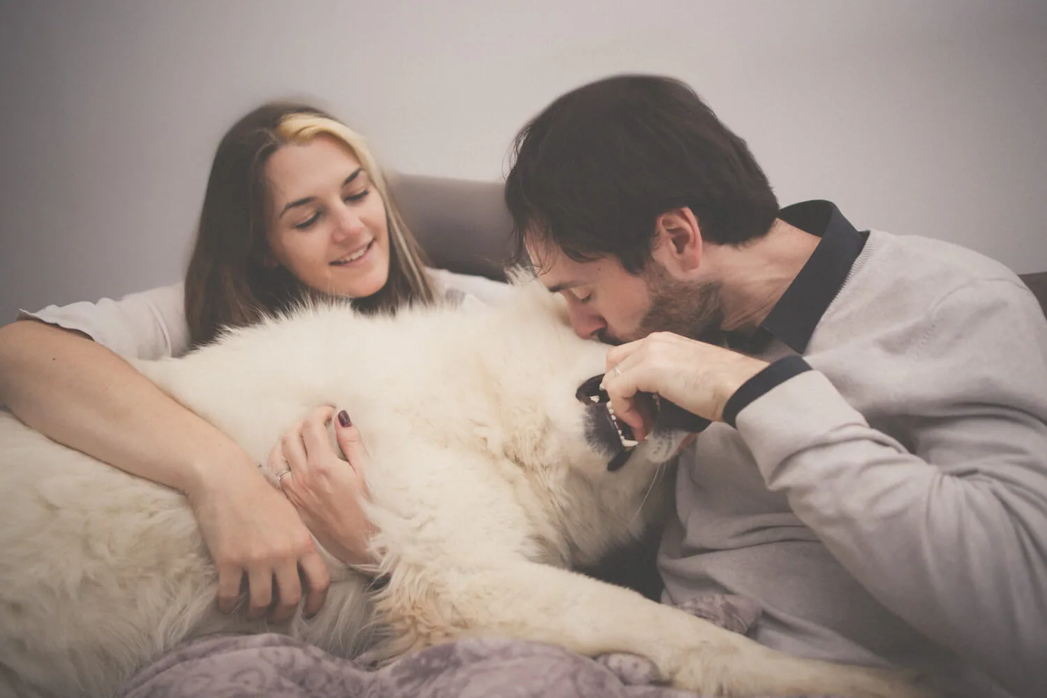 Photographie photographe-animaux-11-seance-photo-animaux-avec-nous-1
