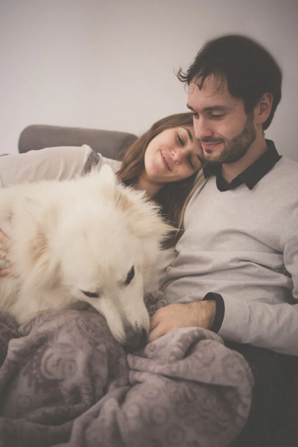 Photographie photographe-animaux-15-seance-photo-animaux-avec-nous-3
