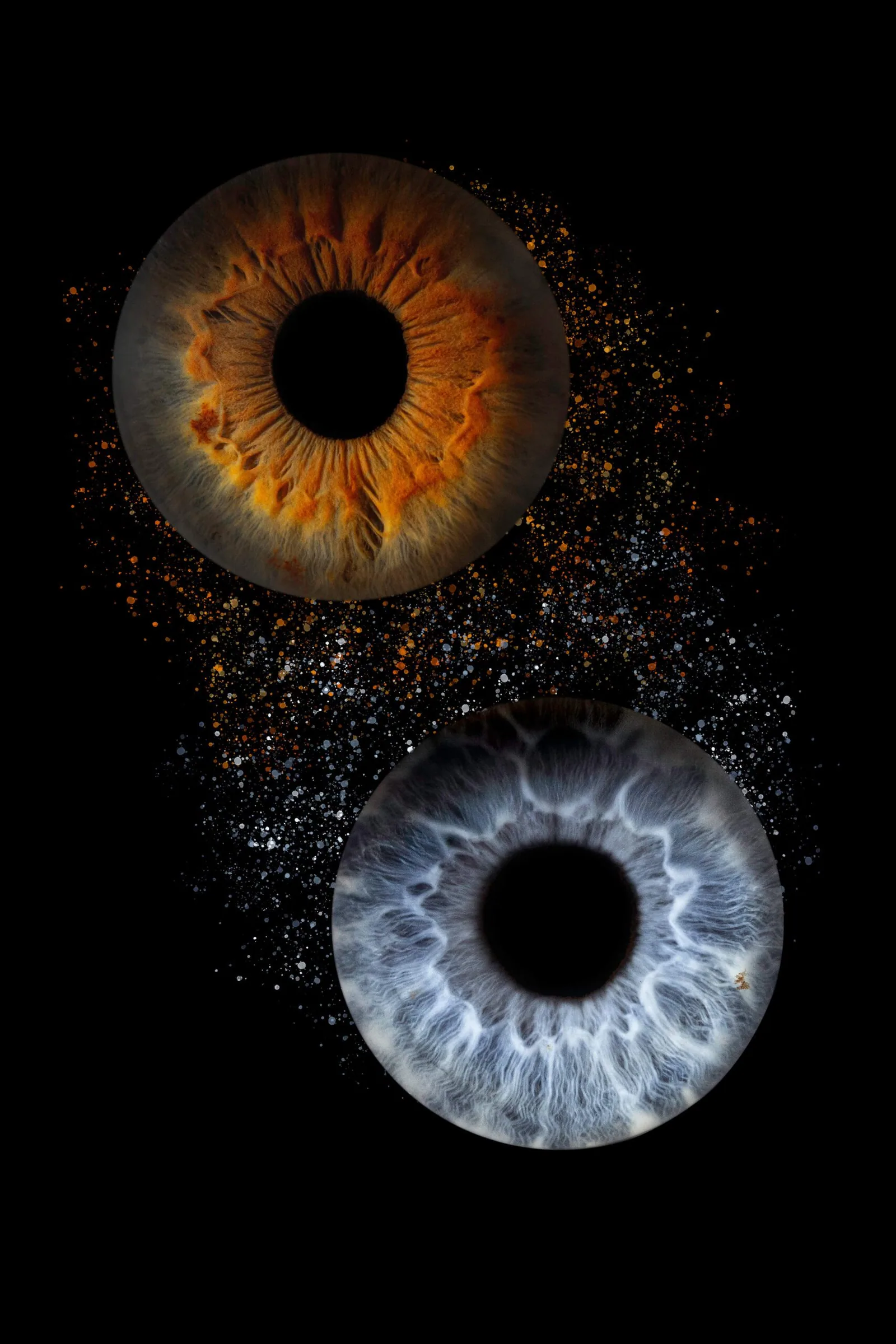 Photographie iris — Studio Instant de Vie