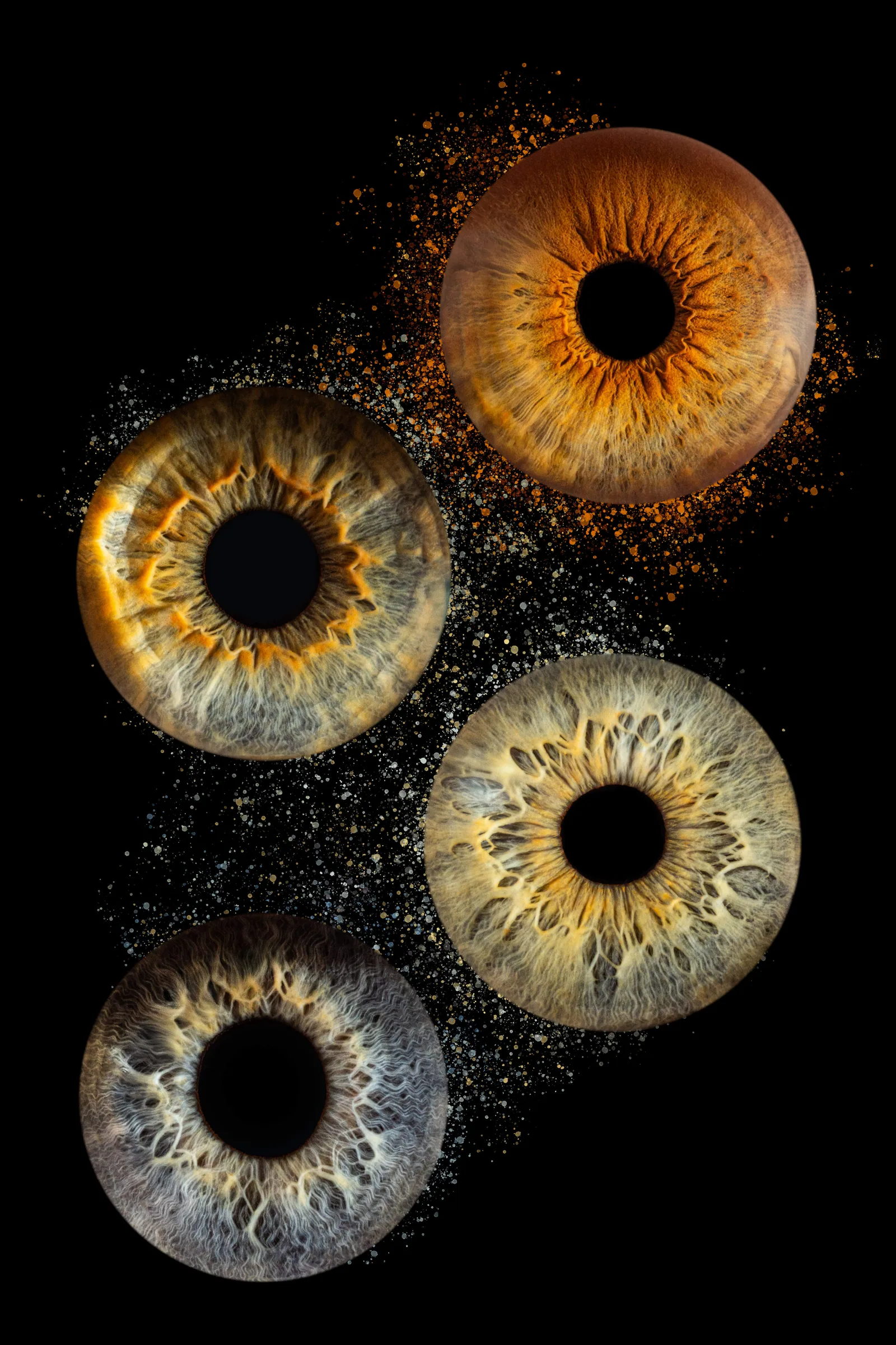 Photographie iris — Studio Instant de Vie